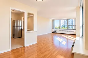1255 N Sandburg Terrace, Chicago, IL 60610 - Photo 4