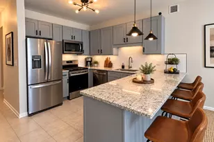 21 W Chestnut St, Chicago, IL 60611 - Photo 2