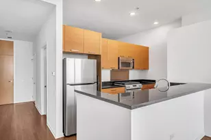 500 W Superior St, Chicago, IL 60654 - Photo 4