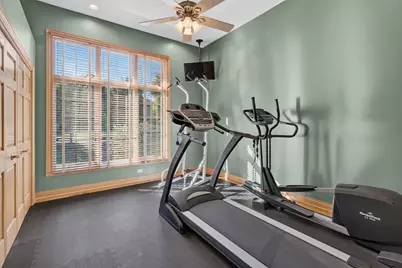 25118 W McMillin Drive, Channahon, IL 60410 - Photo 52