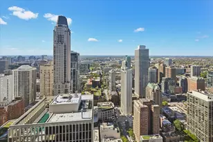950 N Michigan Ave, Chicago, IL 60611 - Photo 16