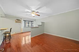 3620 N Pine Grove Ave, Chicago, IL 60613 - Photo 2
