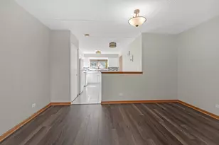 8700 W Evelyn Ln, Chicago, IL 60656 - Photo 6