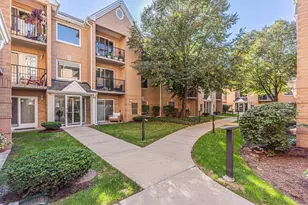 8700 W Evelyn Ln, Chicago, IL 60656 - Photo 2