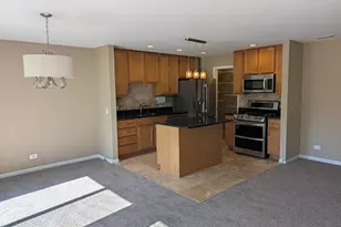 103 Marble Hill Ct, Schaumburg, IL 60193 - Photo 4