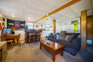 23949 S Green Heron Dr, Channahon, IL 60410 - Photo 10