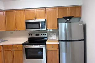 201 S Maple Ave, Oak Park, IL 60302 - Photo 18