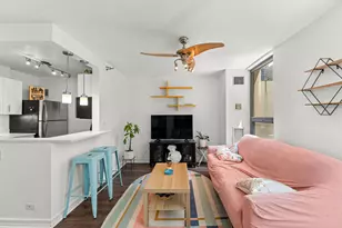 401 E Ontario St, Chicago, IL 60611 - Photo 12