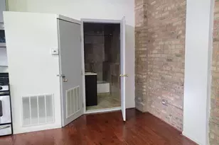 1341 N Washtenaw Ave, Chicago, IL 60622 - Photo 12