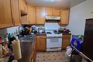 4602 N Karlov Ave, Chicago, IL 60630 - Photo 18