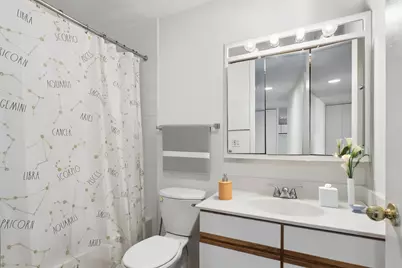 3001 S Michigan Avenue #2105, Chicago, IL 60616 - Photo 14