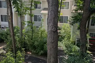 293 W Treehouse Ln, Round Lake, IL 60073 - Photo 4
