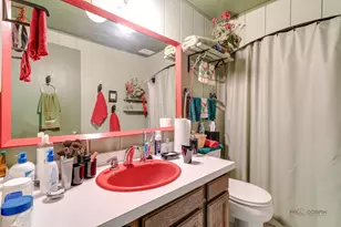 10704 Breezy Lawn Rd, Spring Grove, IL 60081 - Photo 30