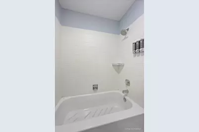 44 Silver Tree Circle, Cary, IL 60013 - Photo 16