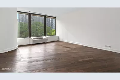 505 N Lake Shore Drive #501, Chicago, IL 60611 - Photo 12