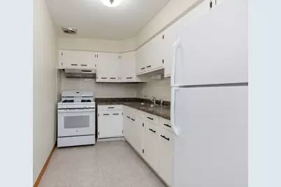 4624 N Commons Drive #303E, Chicago, IL 60656 - Photo 8