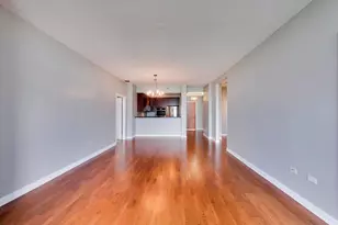 1211 S Prairie Ave, Chicago, IL 60605 - Photo 6