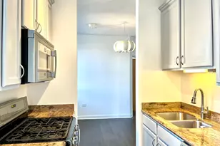 1529 S State St, Chicago, IL 60605 - Photo 6
