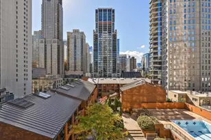 1030 N State St, Chicago, IL 60610 - Photo 8
