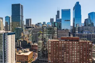 303 W Ohio St, Chicago, IL 60654 - Photo 16
