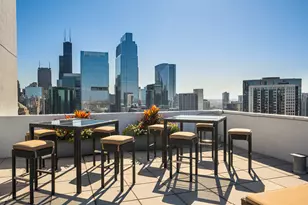 303 W Ohio St, Chicago, IL 60654 - Photo 14
