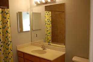 410 W Mahogany Ct, Palatine, IL 60067 - Photo 20