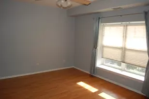 410 W Mahogany Ct, Palatine, IL 60067 - Photo 18