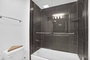 50 E 16th St, Chicago, IL 60616 - Photo 16