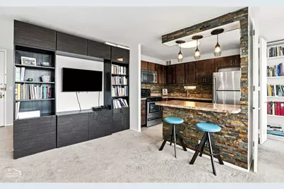1700 E 56th Street #2209, Chicago, IL 60637 - Photo 12