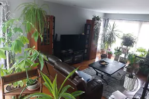 406 W Marion St, Prospect Heights, IL 60070 - Photo 6