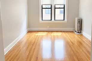 5453 S Everett Ave, Chicago, IL 60615 - Photo 4