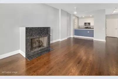 330 N Jefferson Street #402, Chicago, IL 60661 - Photo 8