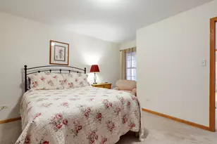 319 N Louisa St, Shorewood, IL 60404 - Photo 14