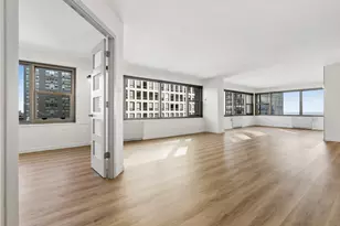247 E Chestnut St, Chicago, IL 60611 - Photo 8