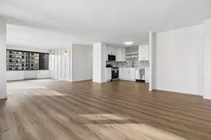 247 E Chestnut St, Chicago, IL 60611 - Photo 12