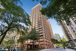 247 E Chestnut St, Chicago, IL 60611 - Photo 1