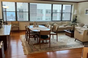 850 N Dewitt Pl, Chicago, IL 60611 - Photo 2