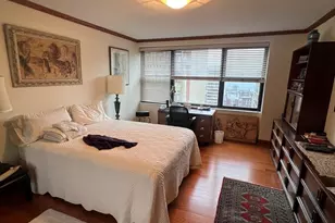 850 N Dewitt Pl, Chicago, IL 60611 - Photo 16
