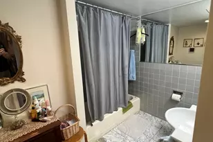 850 N Dewitt Pl, Chicago, IL 60611 - Photo 18