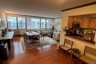 850 N Dewitt Pl, Chicago, IL 60611 - Photo 4