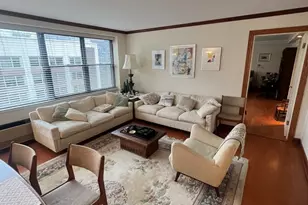 850 N Dewitt Pl, Chicago, IL 60611 - Photo 8
