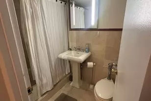 850 N Dewitt Pl, Chicago, IL 60611 - Photo 14