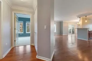 145 S York St, Elmhurst, IL 60126 - Photo 6