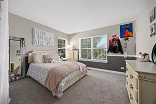 13518 Meadow Ln, Plainfield, IL 60544 - Photo 32