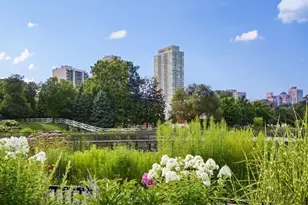 2020 N Lincoln Park W, Chicago, IL 60614 - Photo 44