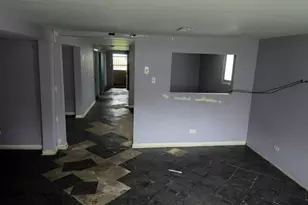 852 E 88th St, Chicago, IL 60619 - Photo 30