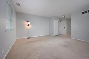 59 Gant Cir, Streamwood, IL 60107 - Photo 10