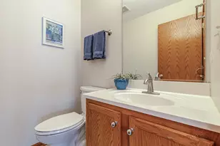 270 W Winding Trail Cir, Round Lake, IL 60073 - Photo 22