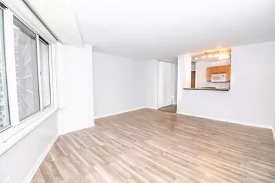 211 E Ohio Street #2515, Chicago, IL 60611 - Photo 6