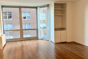 21 W Goethe St, Chicago, IL 60610 - Photo 4